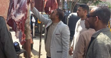 محافظ قنا: تحرير 61 محضرا خلال حملات رقابية مكثفة بـ 4 مراكز لضبط الأسواق