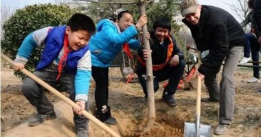 يوم الشجرة فى الصين.. ما قصته وهدف الاحتفاء به؟