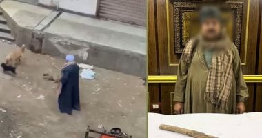 سقط بـ«العصا الخشبية».. ضبط المتهم بالتعدى على الكلاب الضالة فى الجيزة