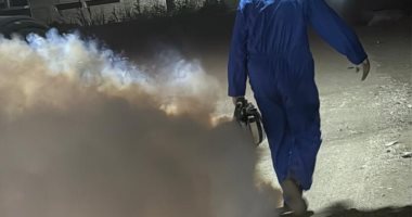 مديرية الصحة بالأقصر تكثف حملات مكافحة الحشرات الطائرة للحفاظ على الصحة العامة