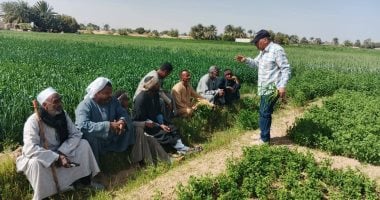 "زراعة الأقصر" تواصل دعم المزارعين ومكافحة النمل الأبيض بالقرى.. صور