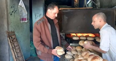 تموين الوادي الجديد: تحرير 113 محضرا تموينيا لأنشطة تجارية مخالفة خلال أسبوع