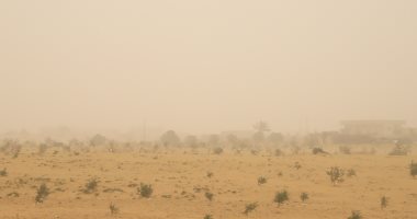 رياح شديدة تضرب سيناء ظهر اليوم.. والأهالي: لم نشهد مثلها من قبل