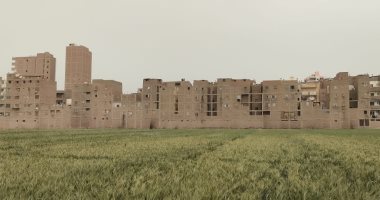 استمرار موجة الطقس السيئ بسوهاج والمحافظة ترفع حالة الطوارئ.. لايف