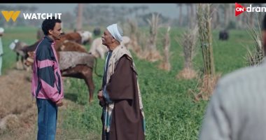 مسلسل بيبو الحلقة 10.. العمدة يضع بيبو أمام مسئولية الإمبراطورية الزراعية