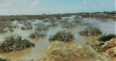 أمطار الخير في وديان مطروح