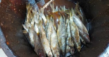 أكلات العيد أطعم فى أشهر أسواق بيع الأسماك المملحة بالإسكندرية.. سوق الميدان يشتهر ببيع الكاليمارى والجمبرى والدنيس والسردين.. سوق الحقانية أحلى رنجة وسردين.. وسوق العطارين يحتضن أشهر بائعى الفسيخ.. صور