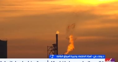 خبيرة طاقة: العالم يواجه "ذهولًا سعريًا" بأسواق الطاقة