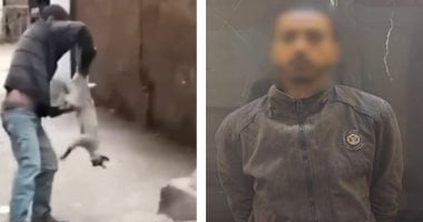 الأمن يضبط المعتدي على قطة في شبرا الخيمة    