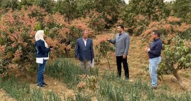 محافظ السويس يوجه بالإستعداد لتنظيم مهرجان المانجو ومتابعة محصول القمح