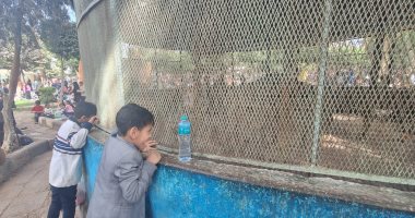 توافد الزائرين بكثافة على حديقة الحيوان فى أسيوط للاحتفال بالعيد.. فيديو وصور