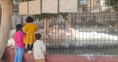 14 ألف زائر لحديقة حيوان الفيوم فى يومين