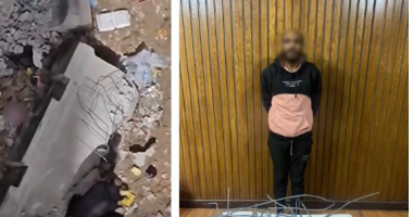   لص "الأسوار" في قبضة الأمن.. كواليس فيديو سرقة حديد مترو الإسكندرية الجديد