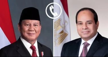 الرئيس السيسى يؤكد خلال اتصال مع رئيس جمهورية إندونيسيا دعم مصر لأمن وسيادة الدول العربية الشقيقة ورفض المساس باستقرارها أو انتهاك سيادتها تحت أي ذريعة.. سوبيانتو: نقدر جهود مصر لاستعادة الاستقرار وخفض التصعيد