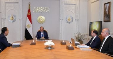 السيد الرئيس عبد الفتاح السيسى
