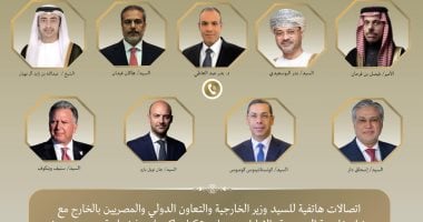 وزير الخارجية يواصل اتصالاته المكثفة لخفض التصعيد بالمنطقة
