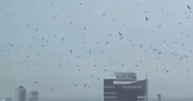 الغربان فوق تل أبيب