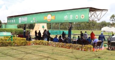 الرماية الدولية