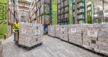 مساعدات مصرية إلى لبنان