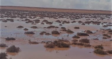 الامطار تروي المراعي والزراعات بمطروح