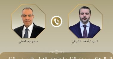 وزير الخارجية يبحث مع نظيره السورى العلاقات الثنائية وجهود خفض التصعيد 