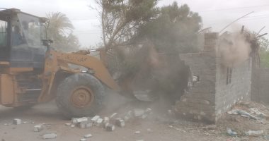 إزالة 21 حالة تعد واسترداد 15 فدانا من أملاك الدولة ضمن الموجة 28 بأسيوط