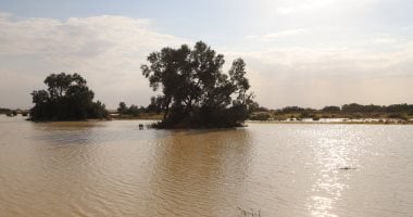 تدفق السيول نتيجة الأمطار باتجاه سد الروافع ووادي العريش.. صور