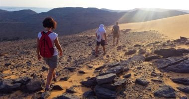 سفاري بحيرة ناصر.. تجربة استثنائية بين الطبيعة البكر وسكون الجنوب