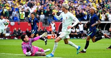 مباراة فرنسا والبرازيل