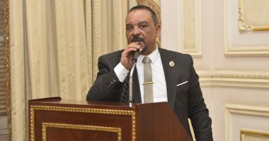 نائب: مصر صامدة غذائيًا رغم اضطرابات المنطقة.. والقاهرة بلد الأمن والأمان