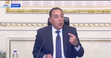 رئيس الوزراء: الإبطاء الكامل للمشروعات الكبرى كثيفة الاستهلاك للسولار لمدة شهرين