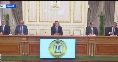 رئيس الوزراء: الإبطاء الكامل للمشروعات الكبرى كثيفة استهلاك السولار لمدة شهرين