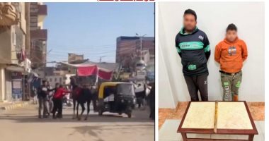بسبب هياج دابة.. سقوط المتهمين بالتعدي على حصان بالعصا