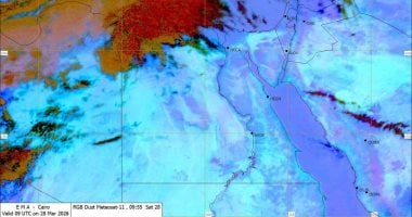 تحذير عاجل من الأرصاد