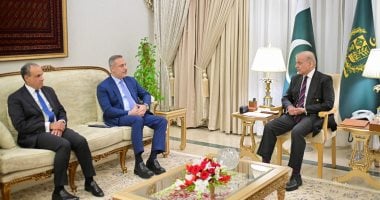 وزير الخارجية المصري ونظيره التركي والباكستاني