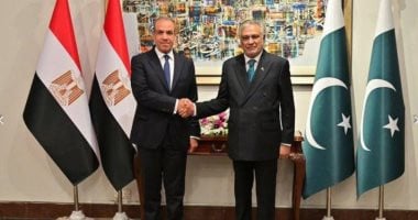 وزير الخارجية ونظيره الباكستانى 