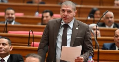 برلمانى: كلمة الرئيس السيسي في "إيجبس 2026" ترسخ دور مصر كقوة مؤثرة