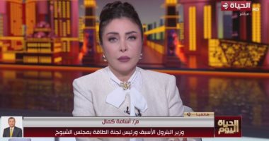 أسامة كمال: أزمة الطاقة الحالية هي الأخطر في العصر الحديث