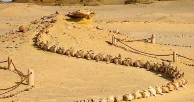 وادي الحيتان منطقة تحكي تاريخ الفيوم