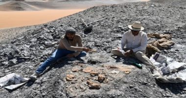 جامعة الوادى الجديد توضح تفاصيل اكتشاف أول سلحفاة من عصر الديناصورات فى أفريقيا