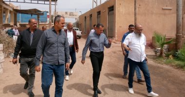 محافظ أسوان يوجه بتشغيل مصنع إنترلوك العلاقى لدعم المشروعات