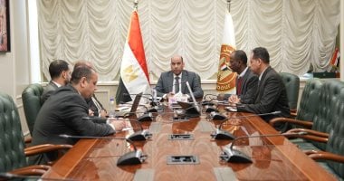 وزير العمل يبحث مع الجامعة البريطانية تأهيل الشباب لسوق العمل وإنشاء منصة تشغيل