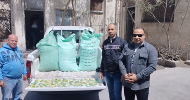 ضبط 97 بطاقة تموينية بداخل أحد المخابز البلدية و4 شكاير دقيق مدعم بمخبز سياحى