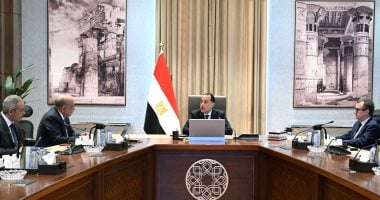 رئيس الوزراء يستعرض خطة إضافة مشروعات طاقة جديدة ومتجددة على الشبكة القومية