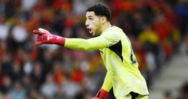 مصطفى شوبير 