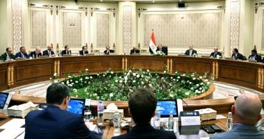 مدبولى يلتقى نائب الرئيس التنفيذى للغاز والطاقة بشركة "بي بي" البريطانية