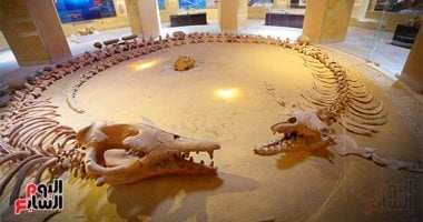 وادى الحيتان بالفيوم.. أول محمية تراث طبيعى عالمى بمصر