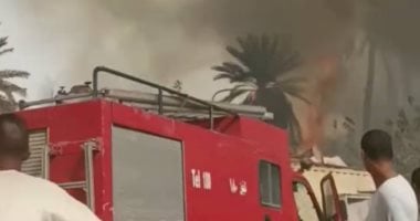 السيطرة على حريق فى زراعات النخيل بقرية النمسا جنوب الأقصر.. صور
