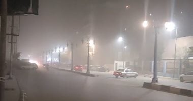 عاصفة ترابية تضرب أسيوط وانعدام الرؤية بالشوارع.. والمحافظ يرفع حالة الطوارئ.. فيديو