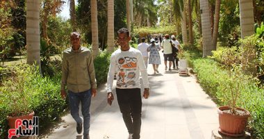 الدنيا ربيع.. سحر الطبيعة فى جزيرة النباتات بأسوان